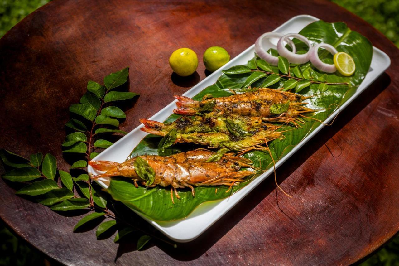 Sterling Vythiri Wayanad Hotel Ngoại thất bức ảnh